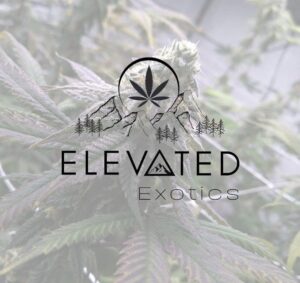 Elevated Exotics